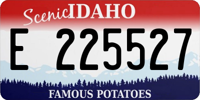 ID license plate E225527