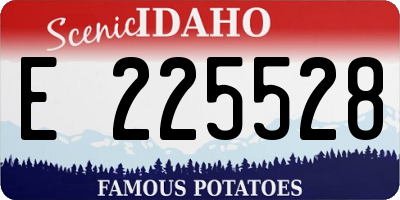 ID license plate E225528