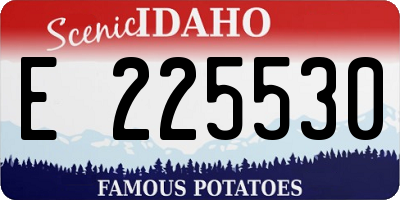 ID license plate E225530
