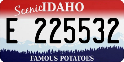 ID license plate E225532