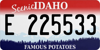 ID license plate E225533