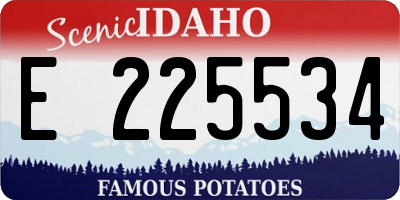ID license plate E225534