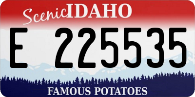 ID license plate E225535