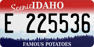 ID license plate E225536