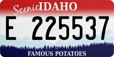 ID license plate E225537