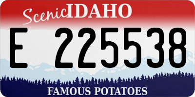 ID license plate E225538