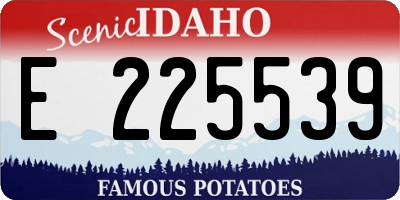 ID license plate E225539