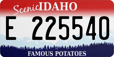 ID license plate E225540