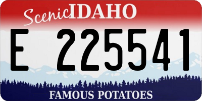 ID license plate E225541