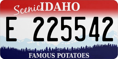 ID license plate E225542