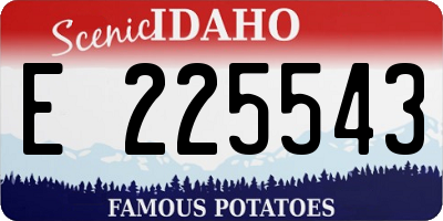 ID license plate E225543