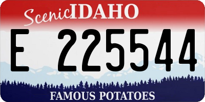 ID license plate E225544