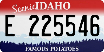 ID license plate E225546