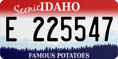 ID license plate E225547