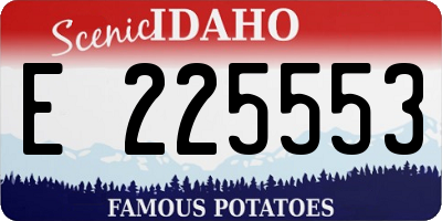 ID license plate E225553