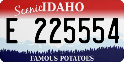 ID license plate E225554