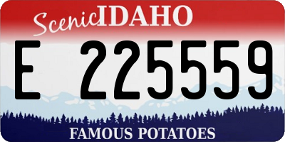 ID license plate E225559