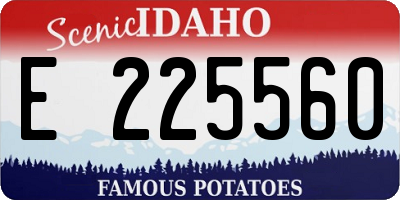 ID license plate E225560