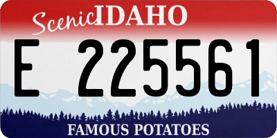 ID license plate E225561