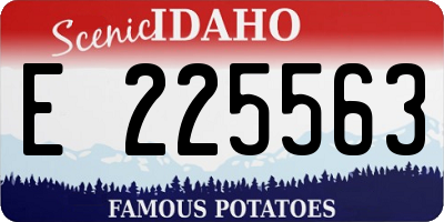 ID license plate E225563
