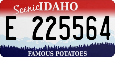 ID license plate E225564
