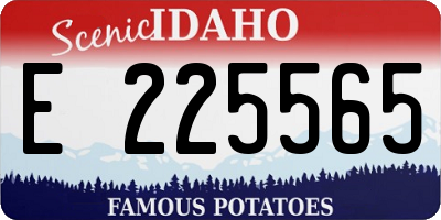 ID license plate E225565