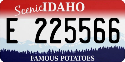 ID license plate E225566