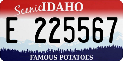 ID license plate E225567