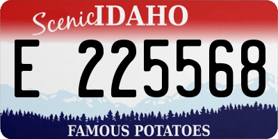 ID license plate E225568