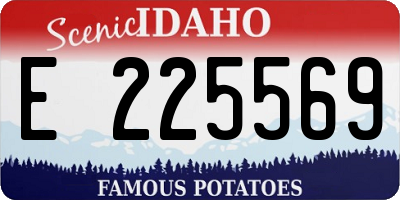 ID license plate E225569