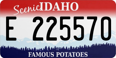 ID license plate E225570