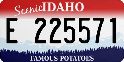 ID license plate E225571