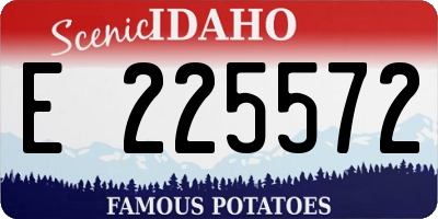 ID license plate E225572
