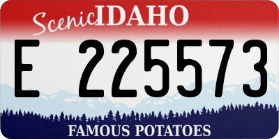 ID license plate E225573