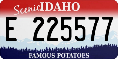 ID license plate E225577