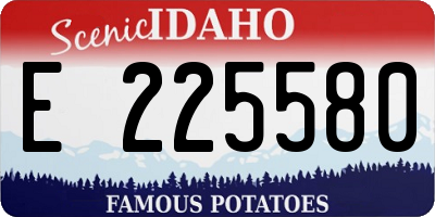 ID license plate E225580