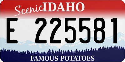 ID license plate E225581