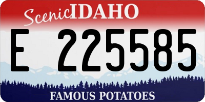 ID license plate E225585