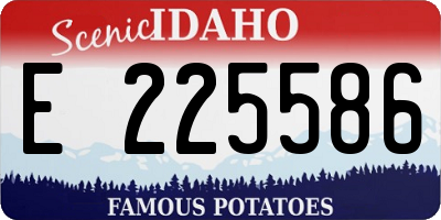 ID license plate E225586