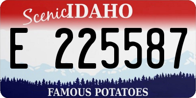 ID license plate E225587