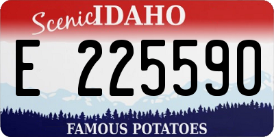 ID license plate E225590