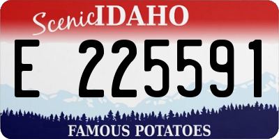 ID license plate E225591