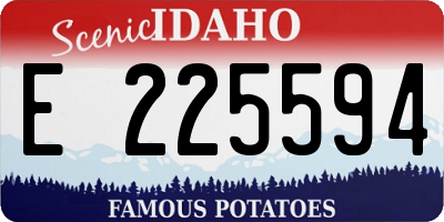 ID license plate E225594