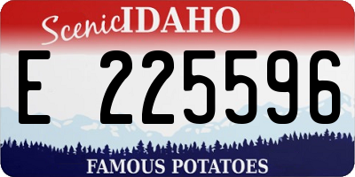 ID license plate E225596