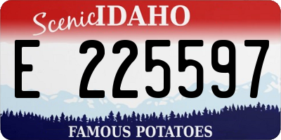ID license plate E225597