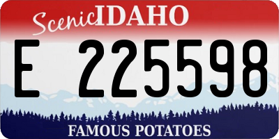 ID license plate E225598