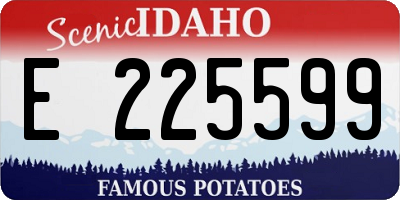 ID license plate E225599