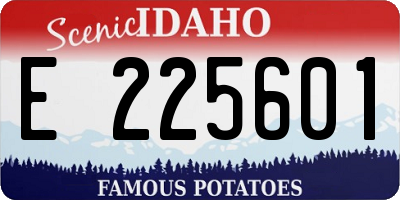 ID license plate E225601