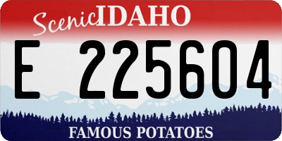 ID license plate E225604