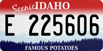 ID license plate E225606